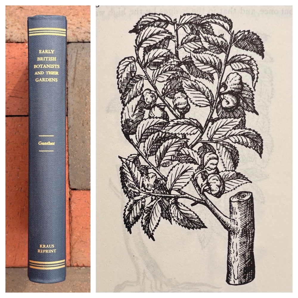1971 Early British Botanists and Their Gardens Goodyer Tradescant Gardencore - Picture 2 of 12